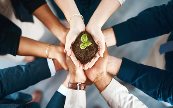 Changzhou Baonong New Material Technology Co., Ltd.